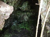 iara Scorciavacca-20110306 051